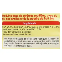 Holle Autres Aliments Bio Crunchy Snack Pomme Cannelle +3 ans 25g