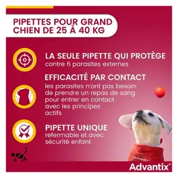 Advantix Chien Solution Antiparasitaire Grande Race 25 à 40kg 4 pipettes