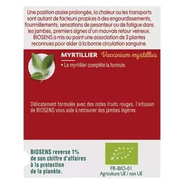 Biosens Infusion Jambes Légères Bio 30g