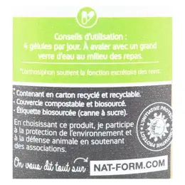 Nat & Form Écoresponsable Orthosiphon Bio 200 gélules végétales