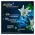 Weleda Gentiane Bleue & Edelweiss Soin Yeux & Lèvres Redensifiant Bio 10ml