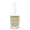 Innoxa Vernis à Ongles N°905 Fluid 5ml