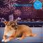 Adaptil Calm Diffuser + Refill 30 Days Anti-Stress for Dogs