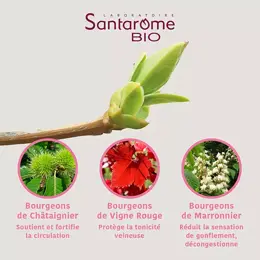 Santarome Bio - Tri Complexe de Bourgeons Jambes Légères Bio - Flacon de 30ml