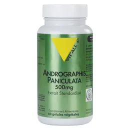 Vit'all+ Andrographis Paniculata 500mg 60 gélules végétales