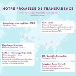 Nutri&Co Le Féminin Syndrome Prémenstruel Confort du Cycle 40 gélules