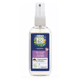 So'Bio Étic Aroma Spray Traitant Pludepoux Bio 100ml