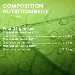 Santarome Bio - Tri Complexe de Bourgeons Détox Minceur Bio - Flacon de 30ml