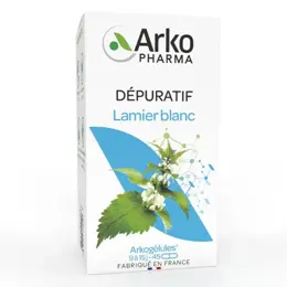 Arkopharma Arkogélules Lamier Blanc 45 gélules