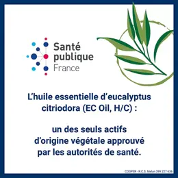 Insect Ecran Brume Végétale 100ml