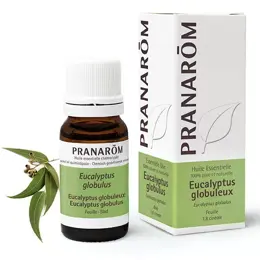 Pranarom Huile Essentielle Eucalyptus Globuleux 10ml