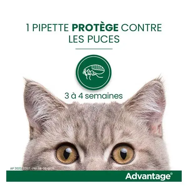 Advantage Solution Antipuce Chat Lapin +4kg 6 pipettes