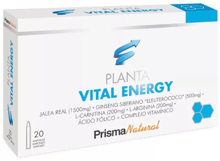 Prisma Natural Planta Vital-Energy 20 Bolhas