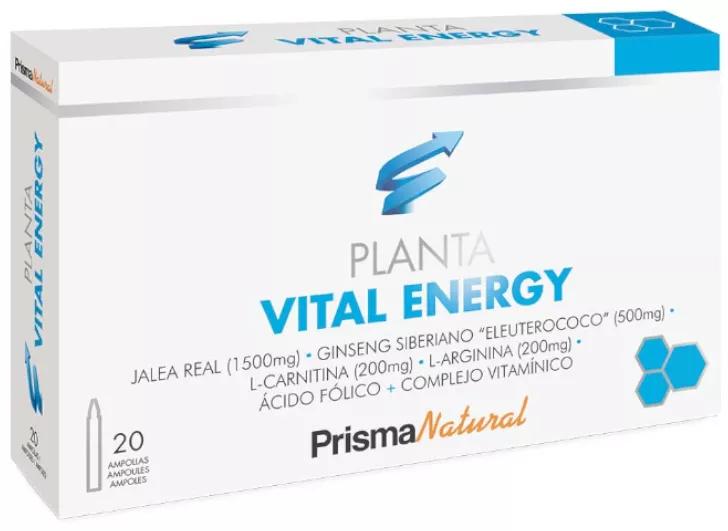 Prisma Nat Plantavital Energia 20 Fiale 10ml