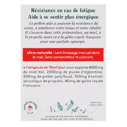 Ballot-Flurin Santé Préparation Dynamisée Bio 4 Forces de la Ruche Bio 10 ampoules