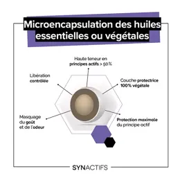 Aragan - Synactifs - Digestactifs® BIO - Digestion - Extraits de Fenouil - 30 gélules