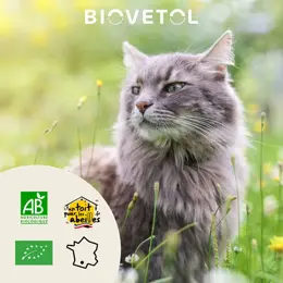 Biovetol - Comprimés Mobil'Activ - Confort Articulaire Chat - 20 comprimés