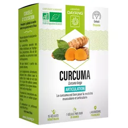 Dayang Curcuma Bio Sphère Articulaire 15 gélules