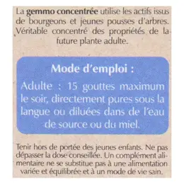 Herbalgem Complexe de Gemmothérapie Noctigem Sommeil Bio 30ml