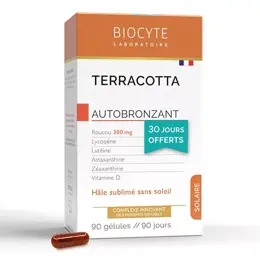 Biocyte Terracotta Solaire Autobronzant Hâle Sublimé Sans Soleil 90 gélules